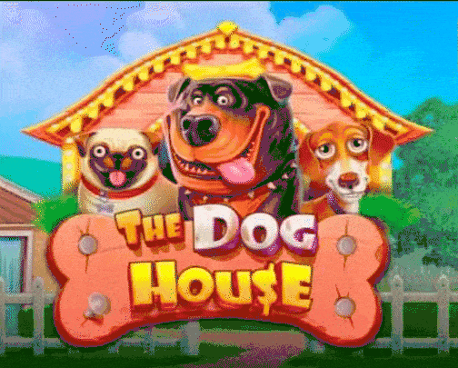 Tragamoneda The Dog House con perros y comodines